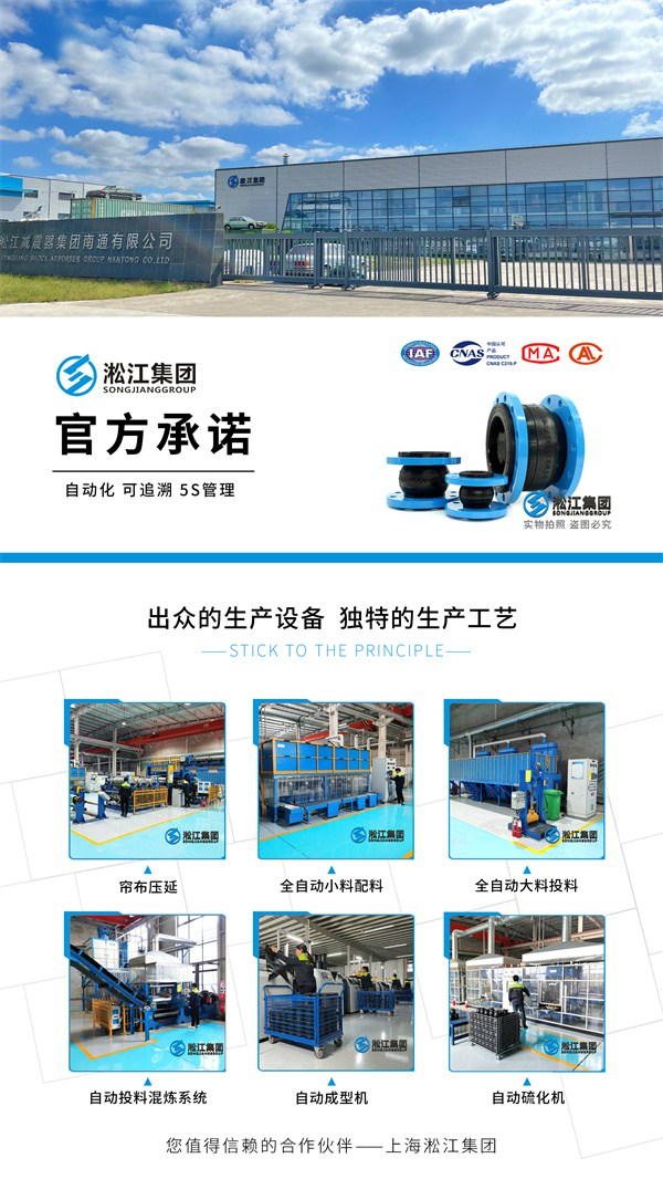 PN16挠性接头立式结构